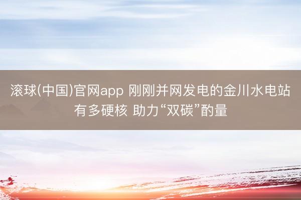 滚球(中国)官网app 刚刚并网发电的金川水电站有多硬核 助力“双碳”酌量