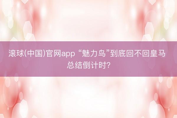 滚球(中国)官网app “魅力鸟”到底回不回皇马 总结倒计时？
