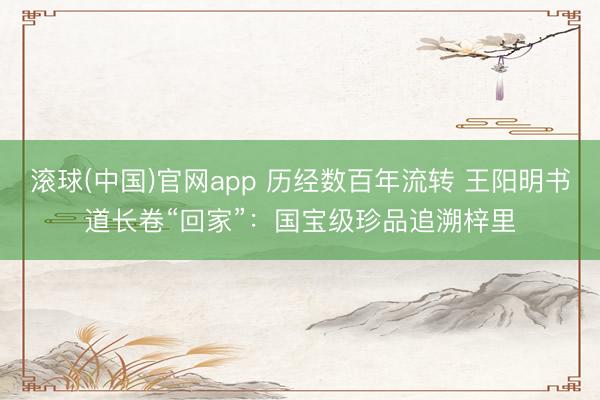 滚球(中国)官网app 历经数百年流转 王阳明书道长卷“回家”:国宝级珍品追溯梓里