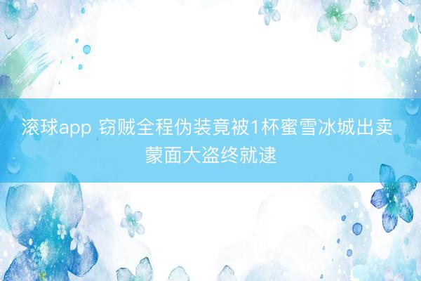 滚球app 窃贼全程伪装竟被1杯蜜雪冰城出卖 蒙面大盗终就逮