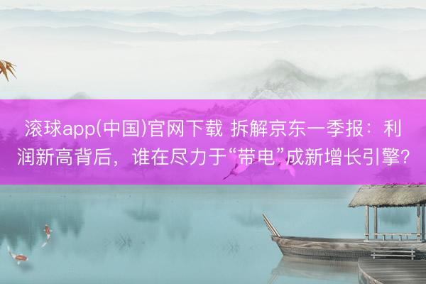 滚球app(中国)官网下载 拆解京东一季报：利润新高背后，谁在尽力于“带电”成新增长引擎？