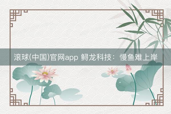 滚球(中国)官网app 鲟龙科技：慢鱼难上岸