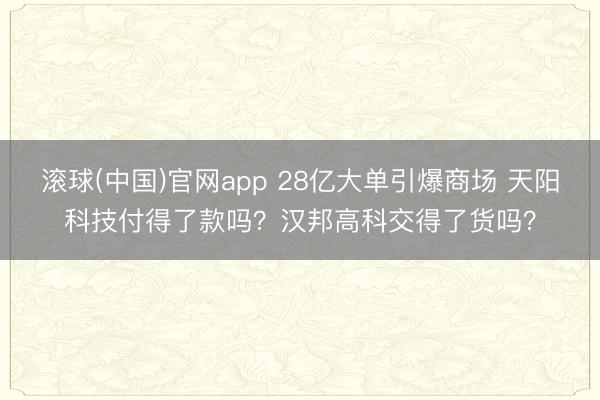 滚球(中国)官网app 28亿大单引爆商场 天阳科技付得了款吗？汉邦高科交得了货吗？