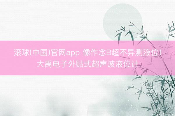 滚球(中国)官网app 像作念B超不异测液位！大禹电子外贴式超声波液位计