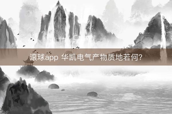 滚球app 华凯电气产物质地若何？