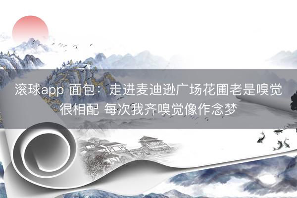 滚球app 面包：走进麦迪逊广场花圃老是嗅觉很相配 每次我齐嗅觉像作念梦