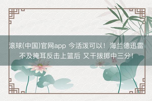 滚球(中国)官网app 今活泼可以！海兰德迅雷不及掩耳反击上篮后 又干拔掷中三分！