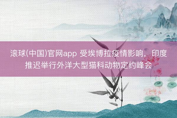 滚球(中国)官网app 受埃博拉疫情影响，印度推迟举行外洋大型猫科动物定约峰会