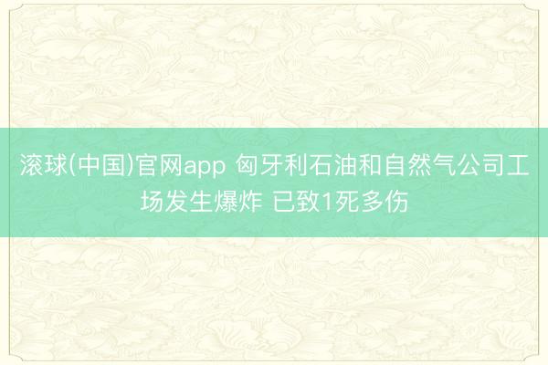 滚球(中国)官网app 匈牙利石油和自然气公司工场发生爆炸 已致1死多伤