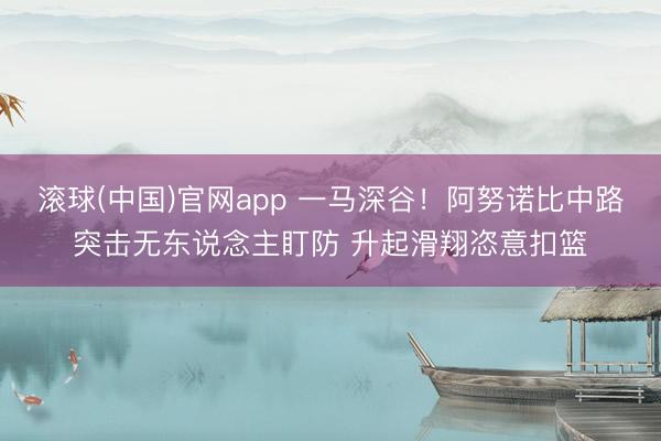 滚球(中国)官网app 一马深谷！阿努诺比中路突击无东说念主盯防 升起滑翔恣意扣篮
