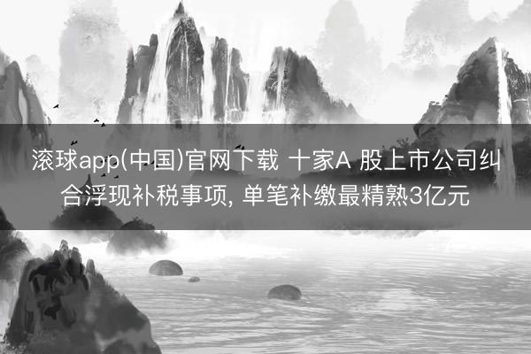 滚球app(中国)官网下载 十家A 股上市公司纠合浮现补税事项， 单笔补缴最精熟3亿元