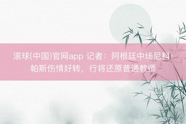 滚球(中国)官网app 记者:阿根廷中场尼科·帕斯伤情好转,行将还原普通教师