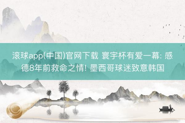 滚球app(中国)官网下载 寰宇杯有爱一幕: 感德8年前救命之情! 墨西哥球迷致意韩国