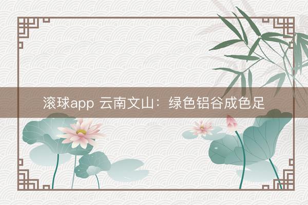 滚球app 云南文山：绿色铝谷成色足
