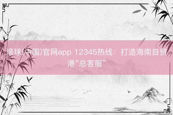滚球(中国)官网app 12345热线：打造海南自贸港“总客服”