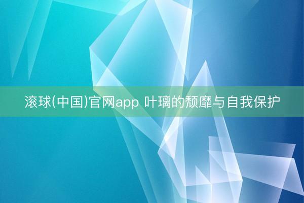 滚球(中国)官网app 叶璃的颓靡与自我保护